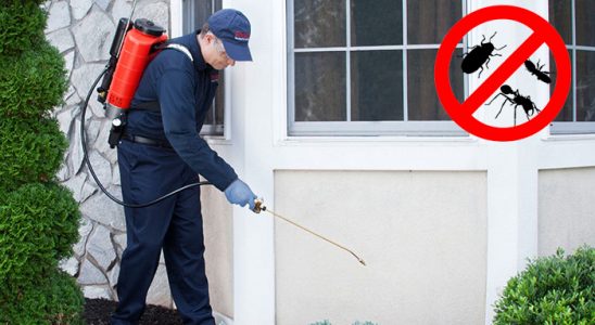 Köprübaşı Fare İlaçlama böcek ilaçlama ve haşere kontrolü — ilaclama-tr.com